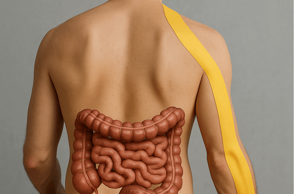 Ból karku a podniebienie miękkie – terapia żuchwy Gdańsk | Harmoza Piotr