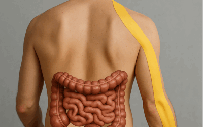 Ból karku a podniebienie miękkie – terapia żuchwy Gdańsk | Harmoza Piotr