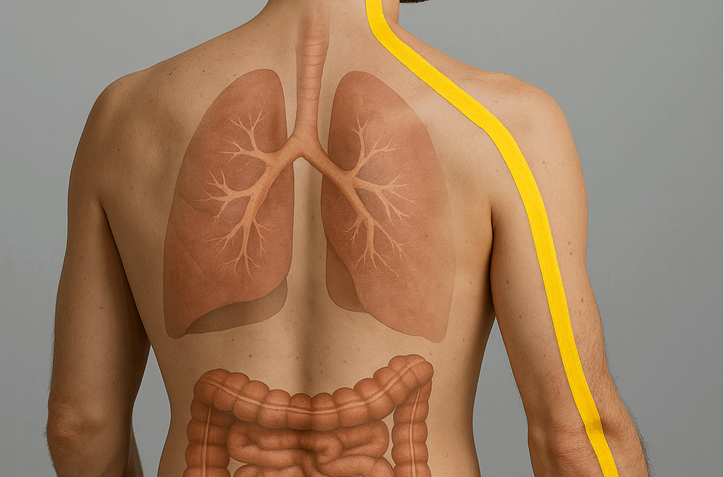 Bruksizm i ból karku – jak żuchwa wpływa na napięcie w ciele