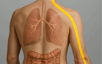 Bruksizm i ból karku – jak żuchwa wpływa na napięcie w ciele
