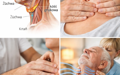 Kość gnykowa a oddech i emocje – terapia manualna posteryzacji